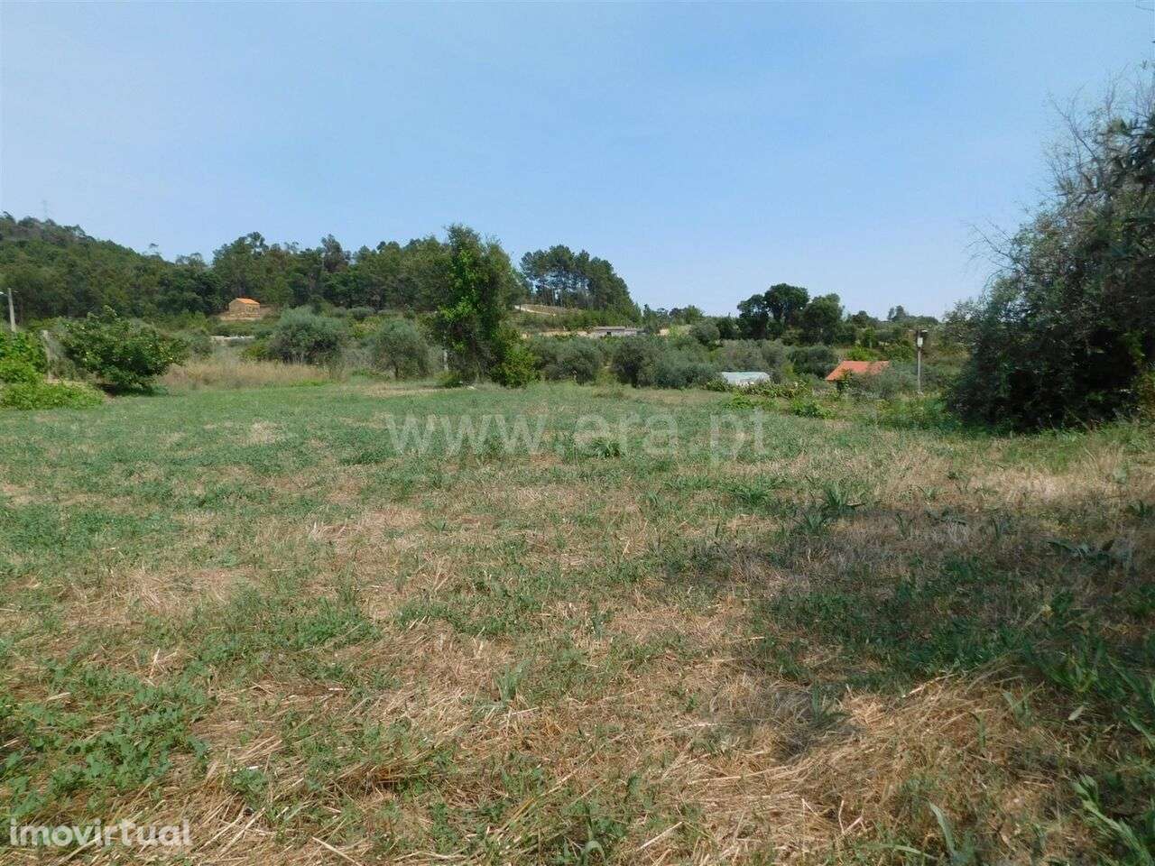 Terreno Rústico / Fundão, Pêro Viseu - Grande imagem: 2/2