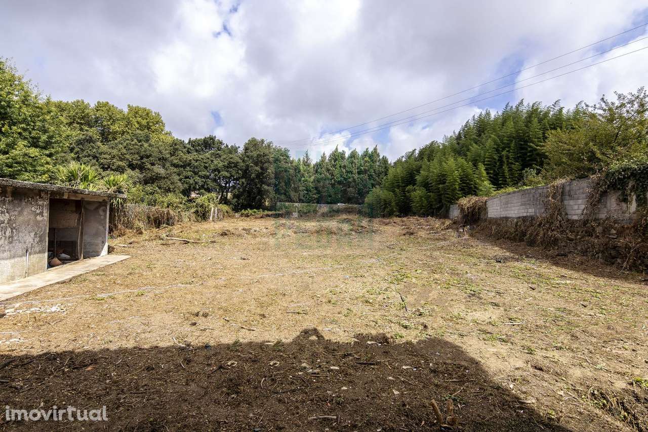 Moradia com terreno de 2860m2 - Grande imagem: 3/10