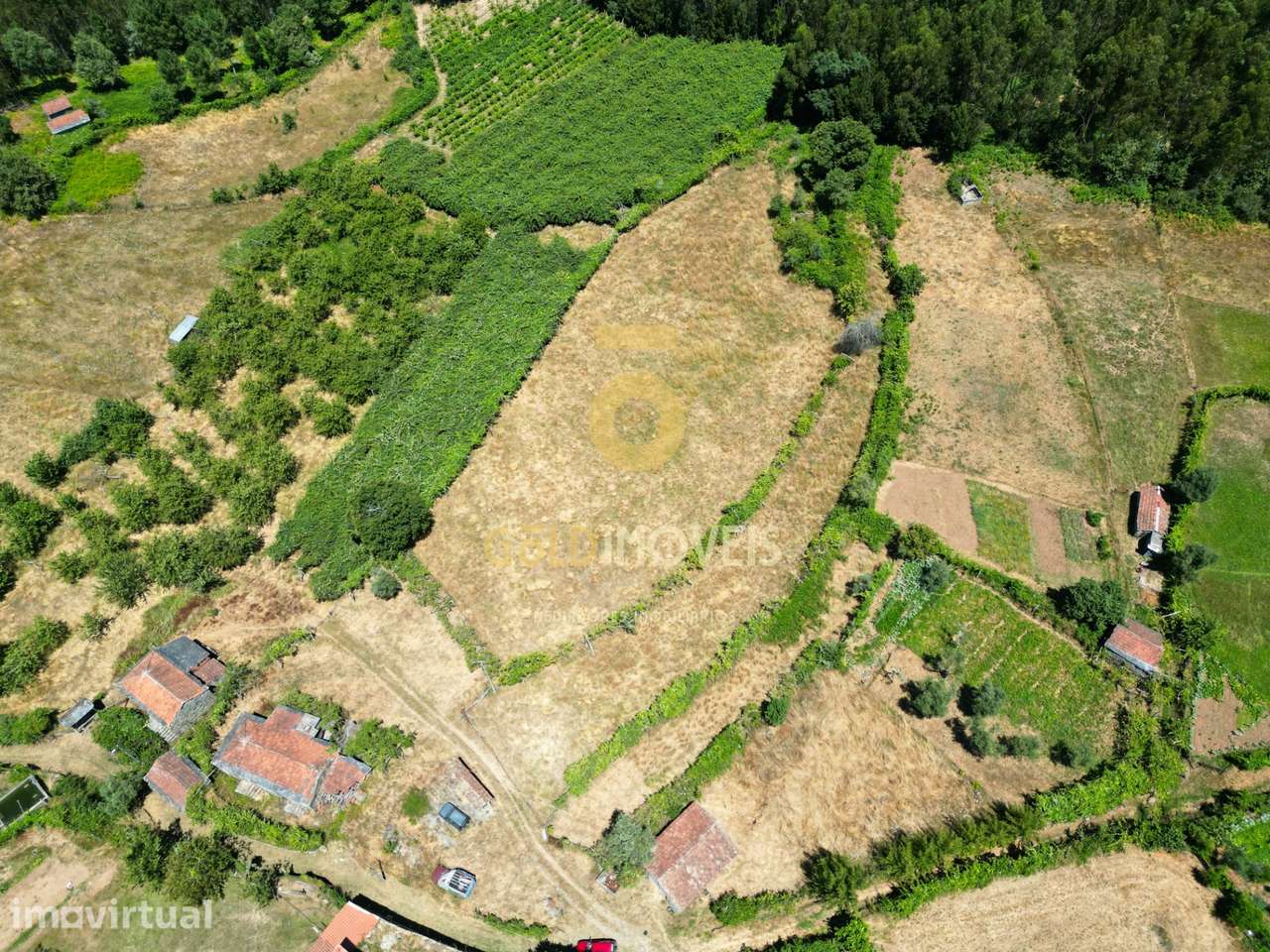 Quinta T4 Venda em Fornelos,Cinfães - Grande imagem: 4/16