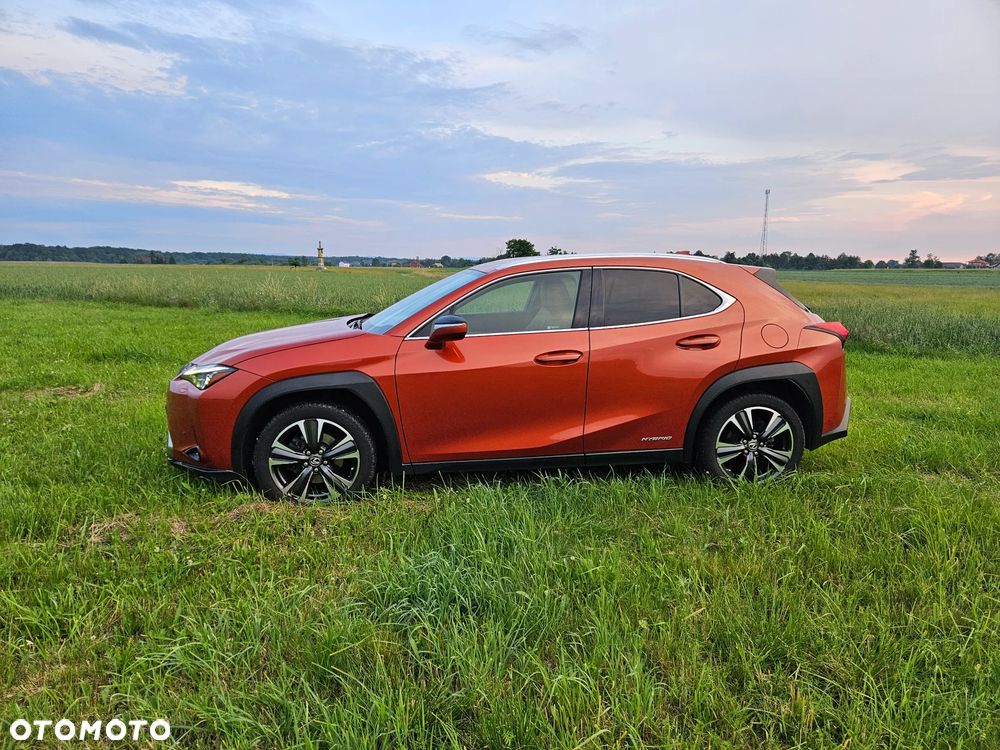Lexus UX 250h GPF Omotenashi AWD - 6