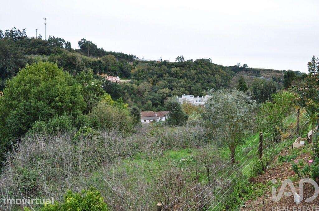 Terreno em Alcobaça e Vestiaria de 3454,00 m2 - Grande imagem: 5/8
