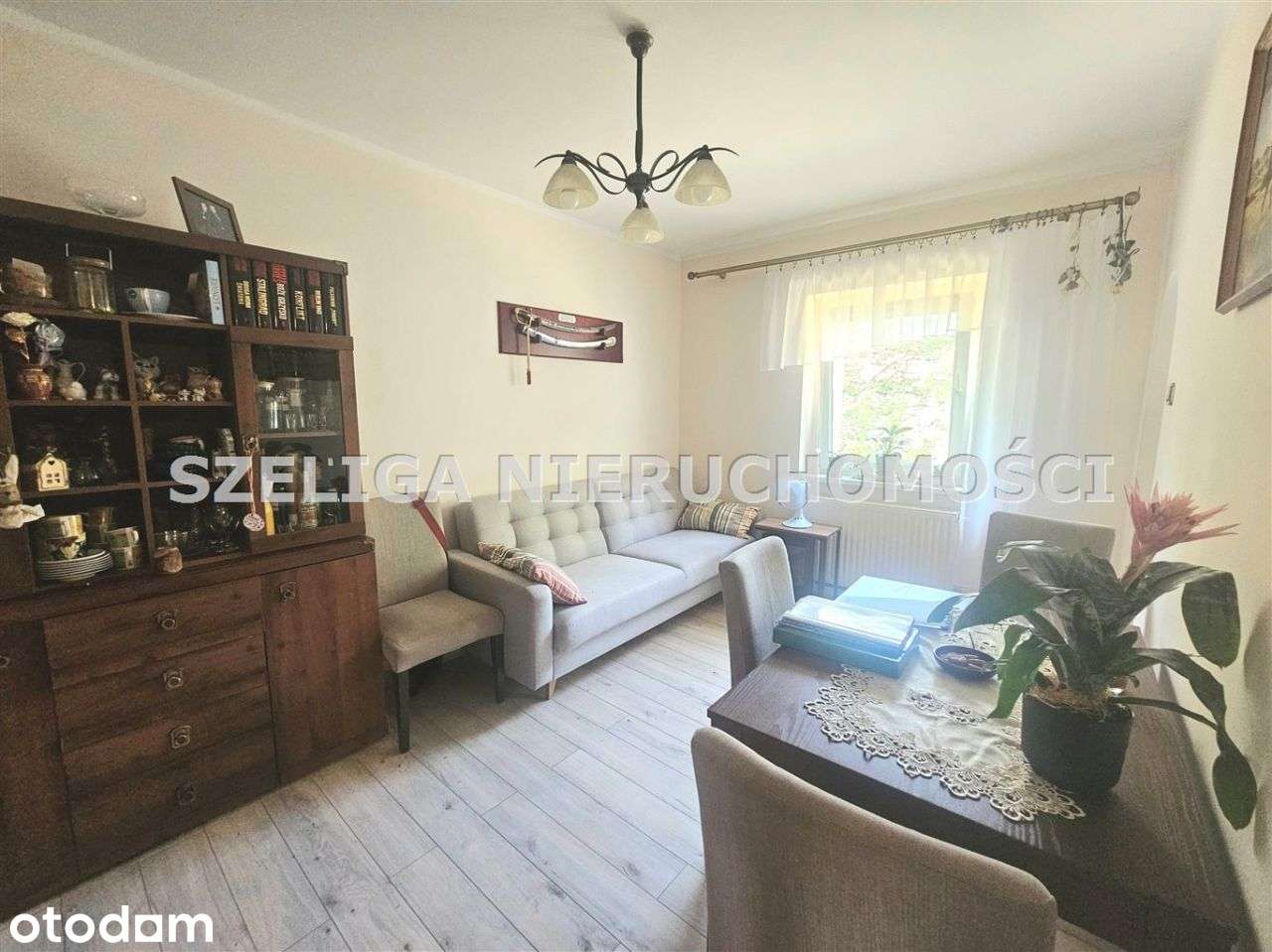 Okolice Ul. Brzozowej, Ogródek, Garaż
