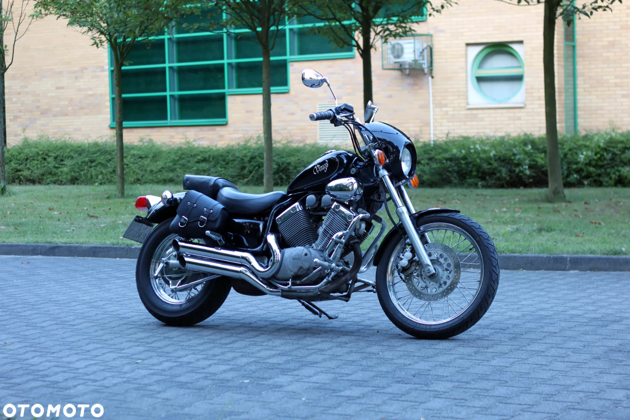 Yamaha Virago - 8