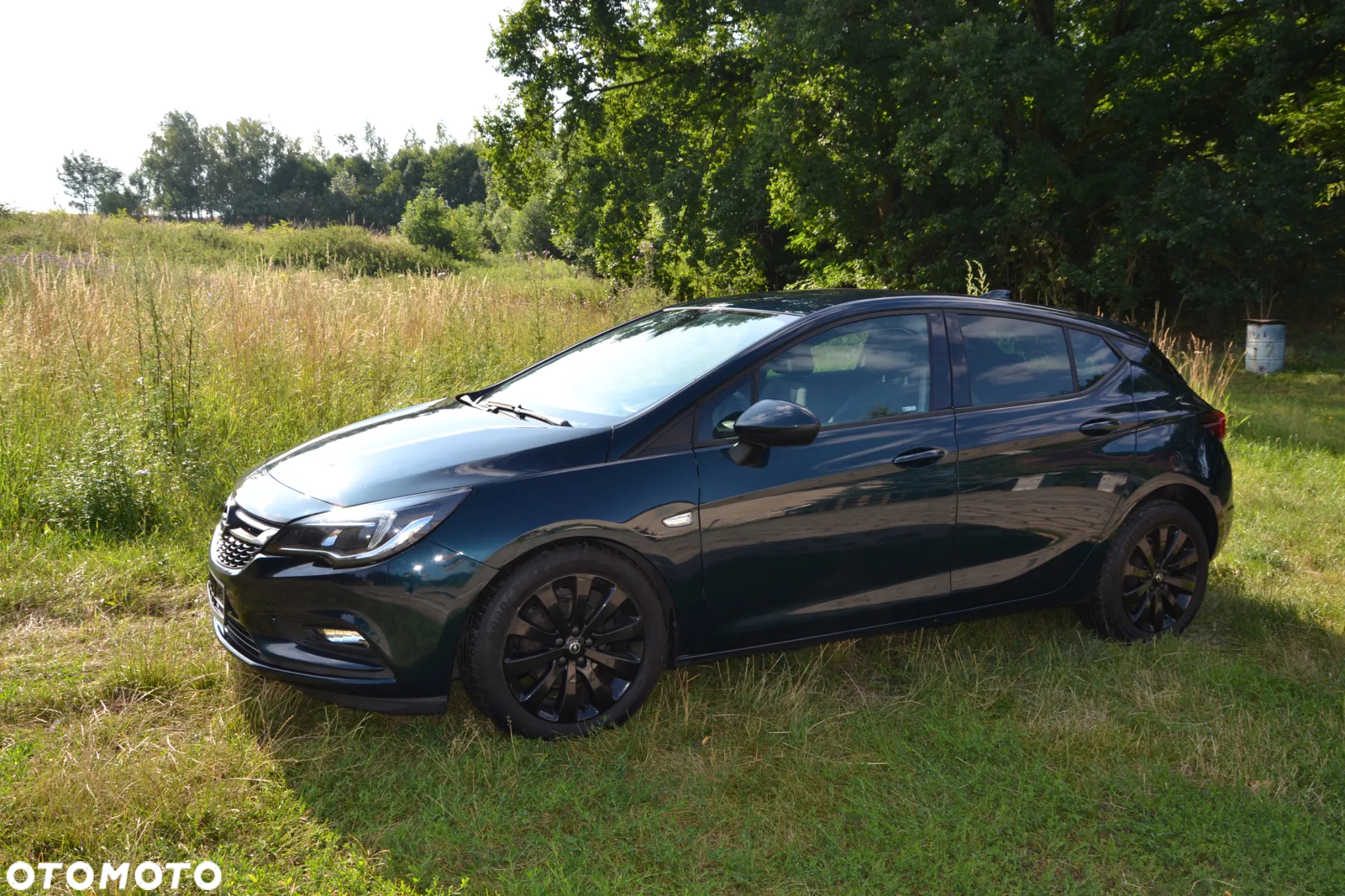 Opel Astra V 1.6 CDTI Elite S&S - 6