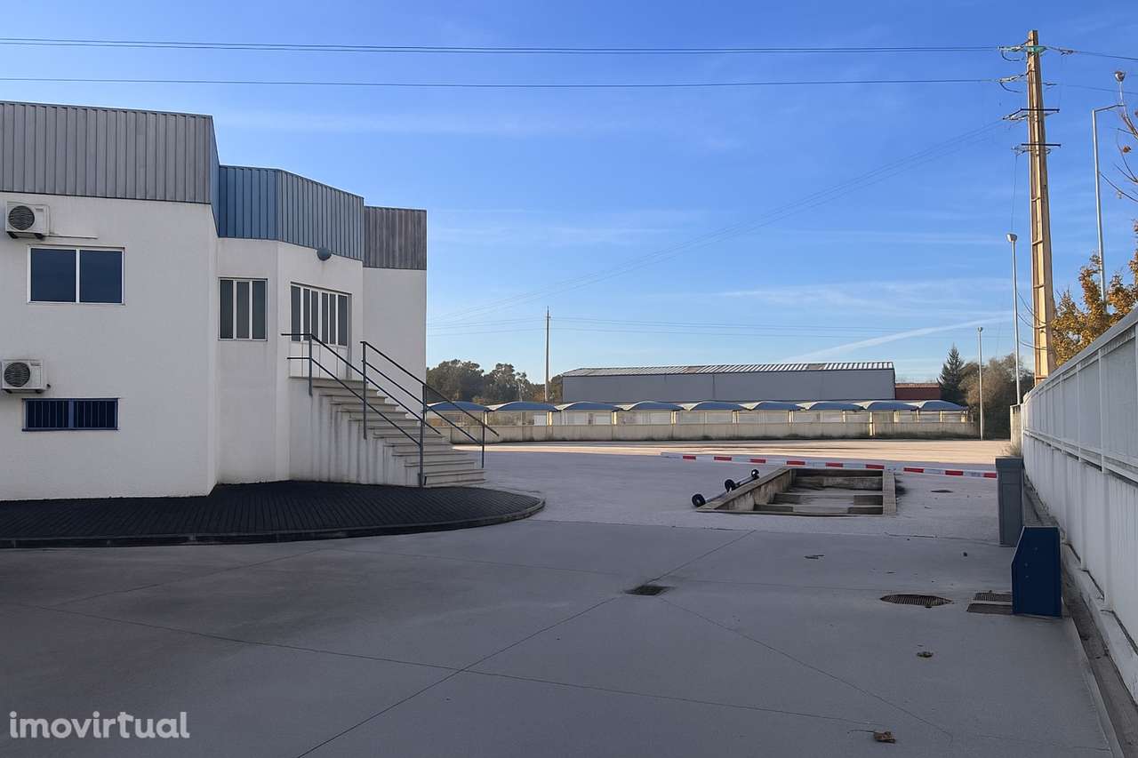 Armazém em Alféloas, Anadia - Grande imagem: 5/22