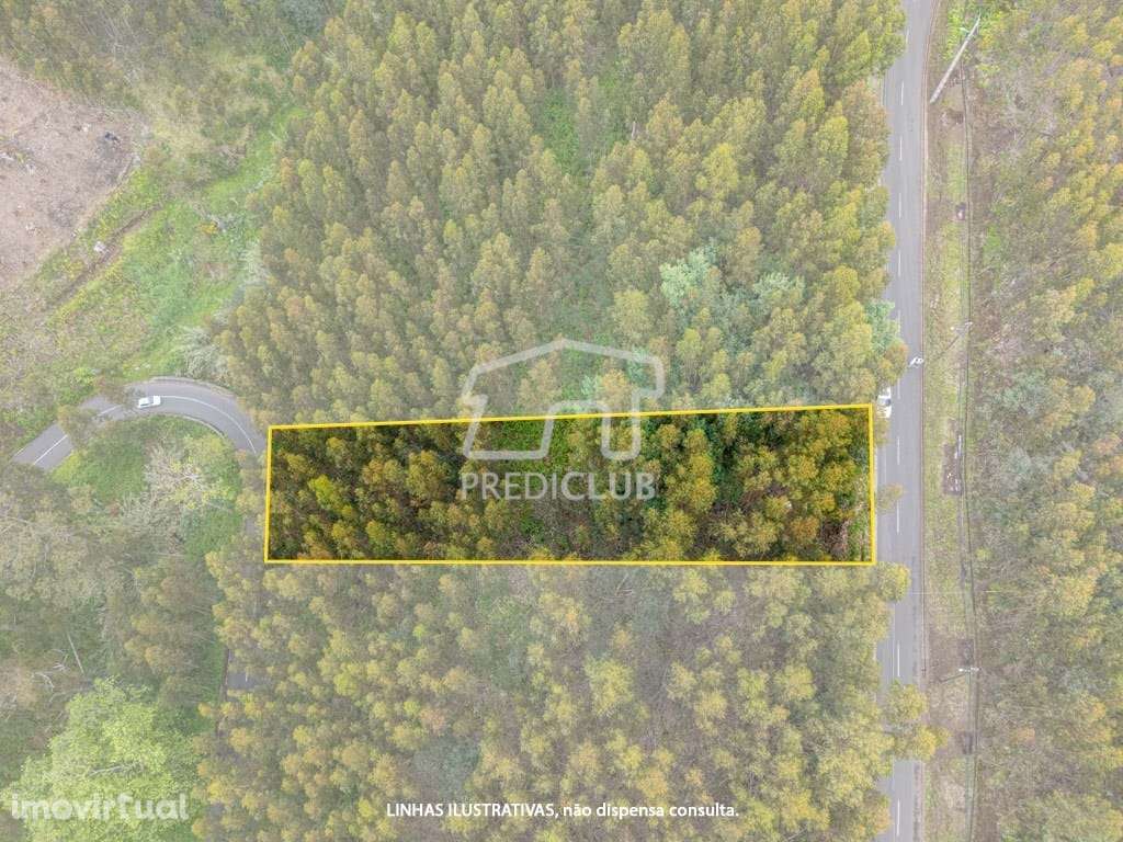 Terreno  889 m2 - Calheta - Grande imagem: 3/13