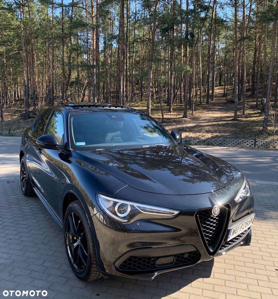 Alfa Romeo Stelvio 2.0 Turbo Veloce Q4 - 1