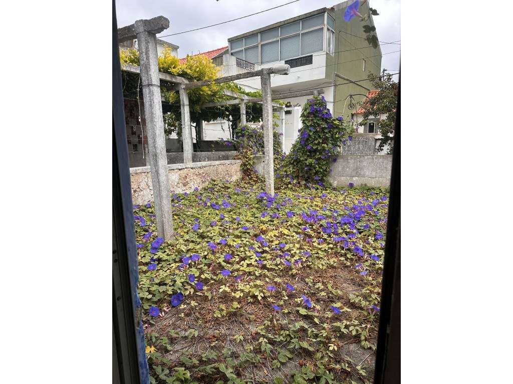Casa Térrea - Grande imagem: 4/27