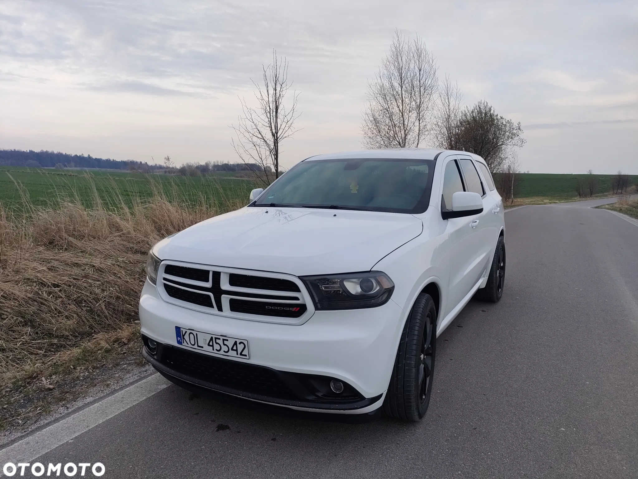 Dodge Durango 3,6 Limited - 18