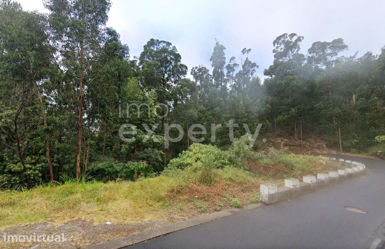 Terreno com 2710m2  com capacidade construtiva em Gaula, Madeira - Grande imagem: 3/10