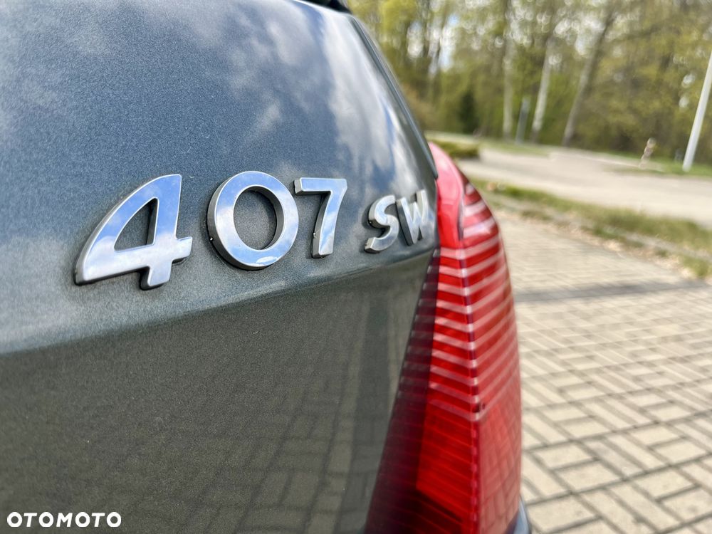 Peugeot 407 1.8 Presence - 22