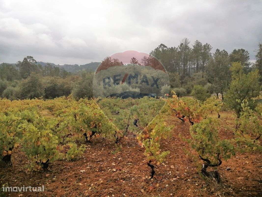 Terreno  para venda - Grande imagem: 2/6