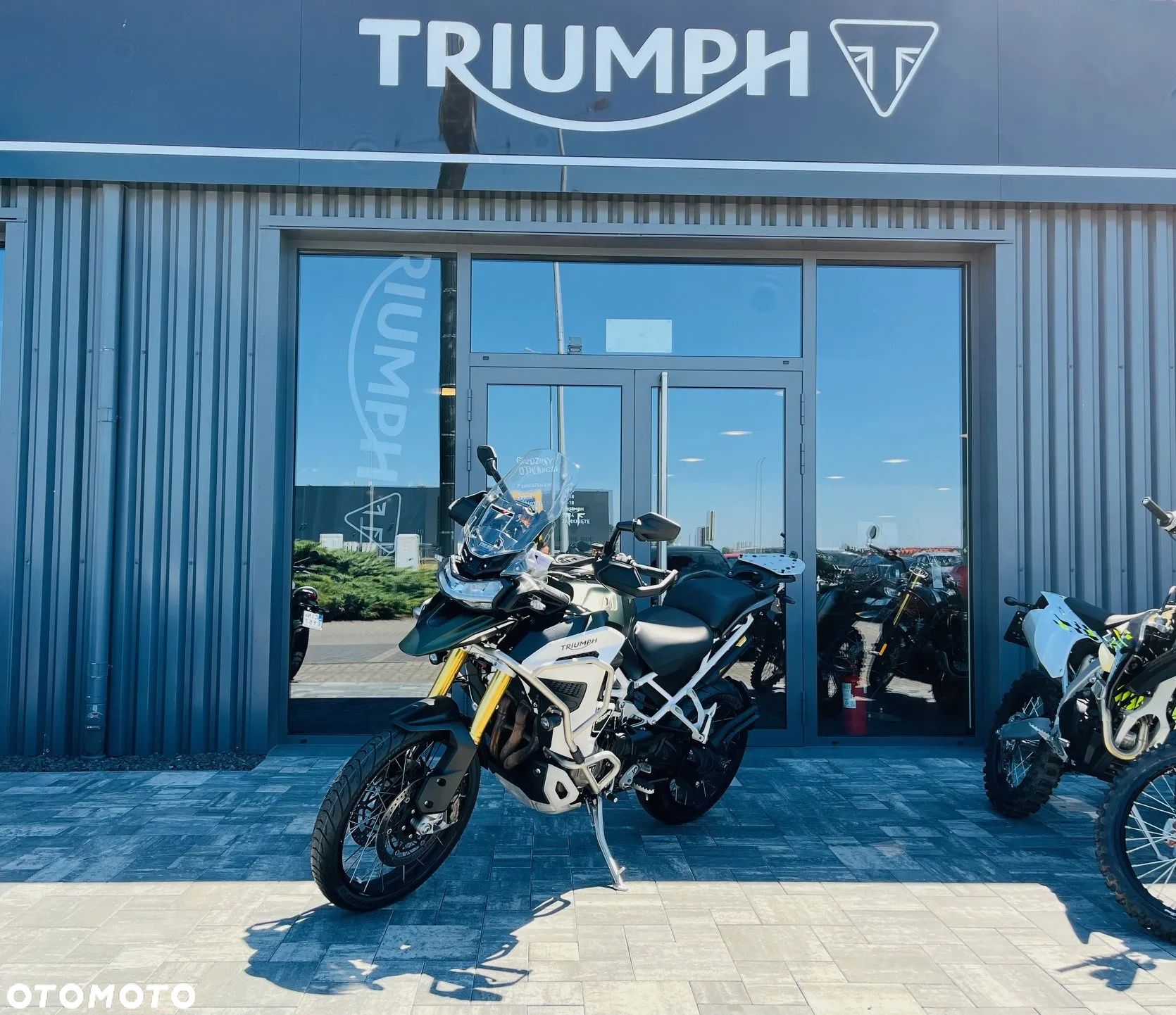 Triumph Tiger