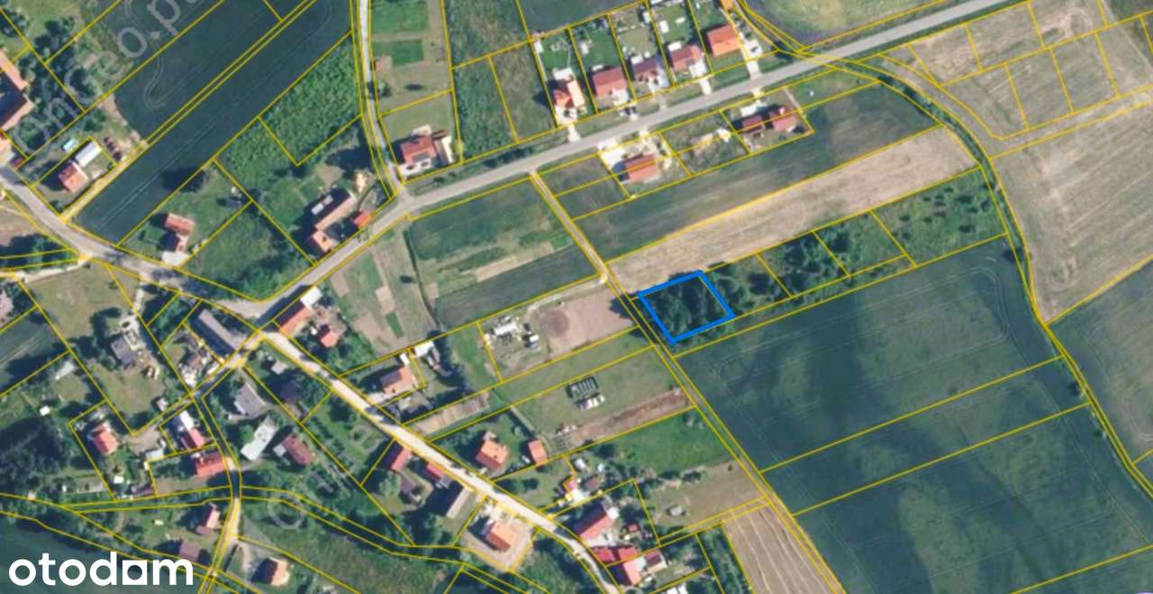 Działka budowlana | pow. 1008 m2 | 17 km od Wrocławia | - Pełny obrazek: 2/5