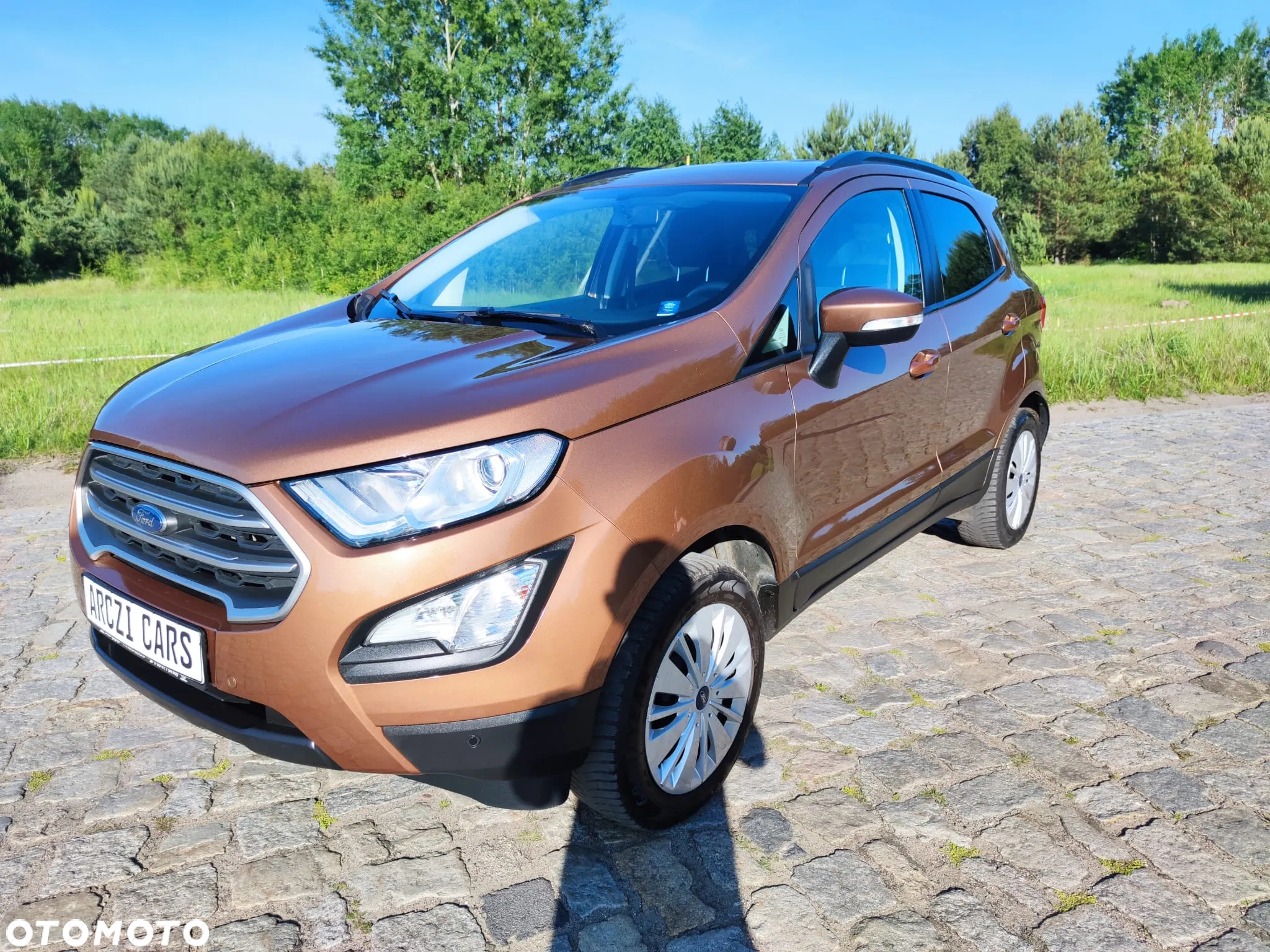 Ford EcoSport 1.0 EcoBoost - 11