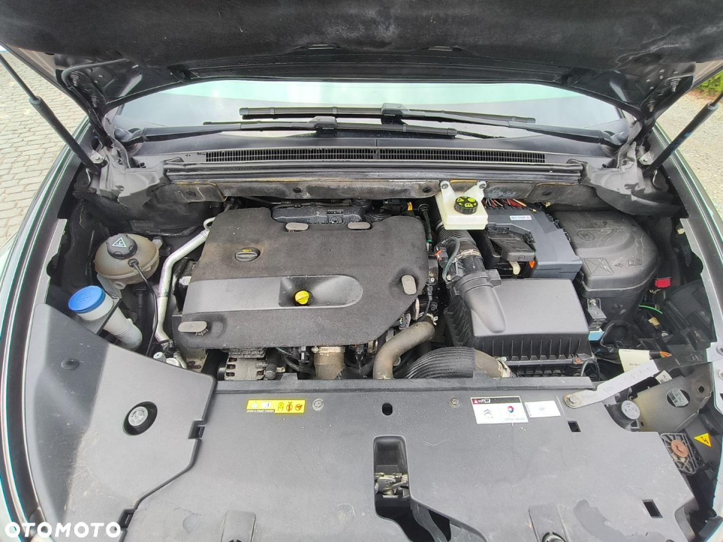 DS Automobiles DS 5 - 23