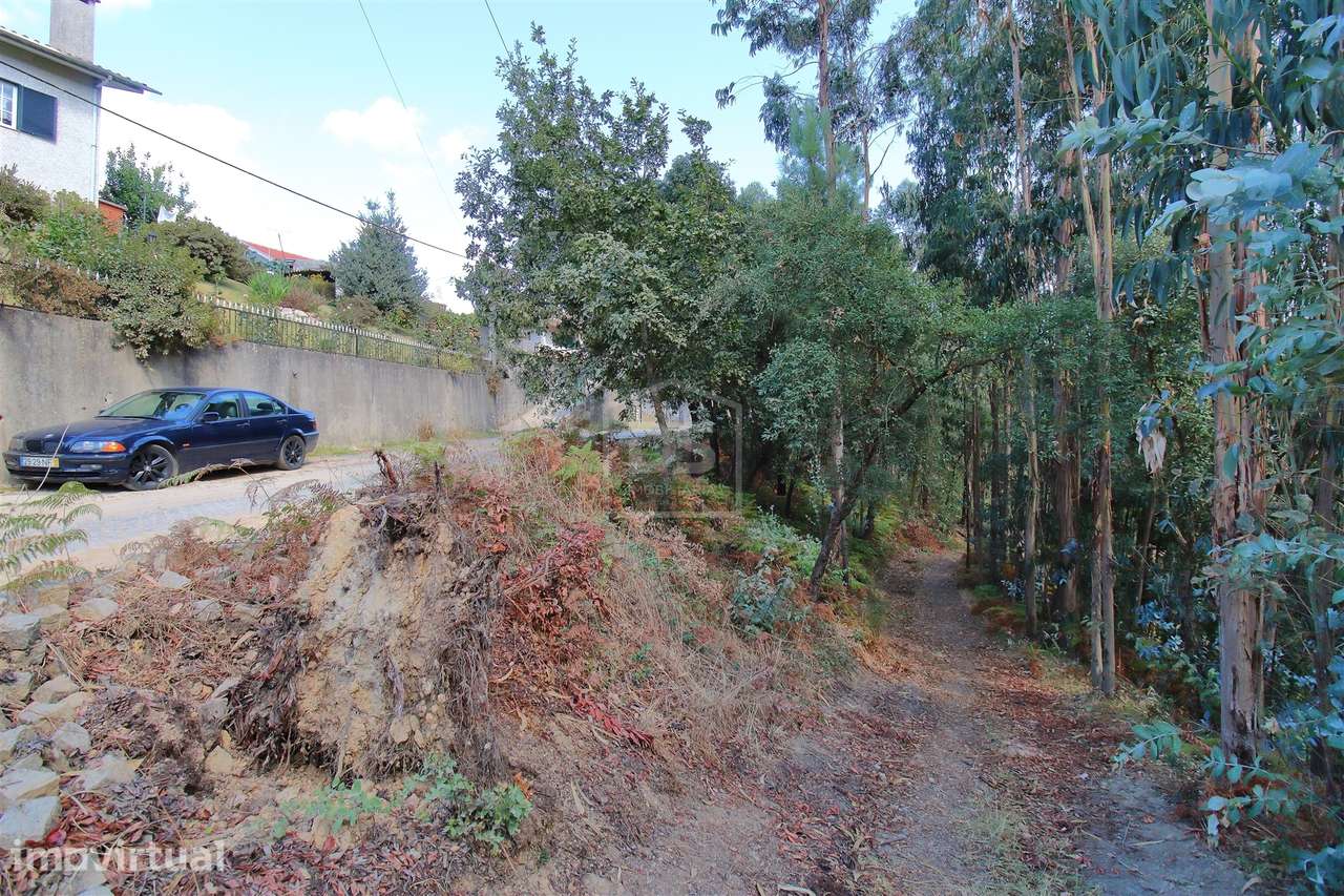 Terreno Para Construção  Venda em Raiva, Pedorido e Paraíso,Castelo de - Grande imagem: 5/14