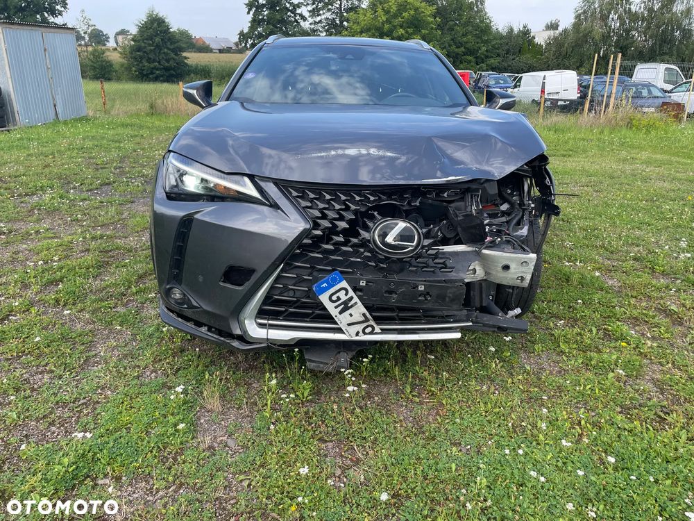 Lexus UX 250h (E-FOUR) Executive Line - 12
