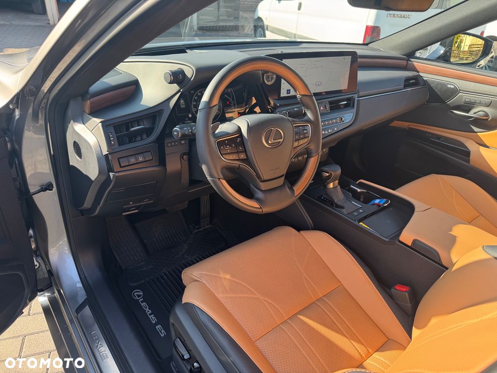 Lexus ES 300h Omotenashi - 16