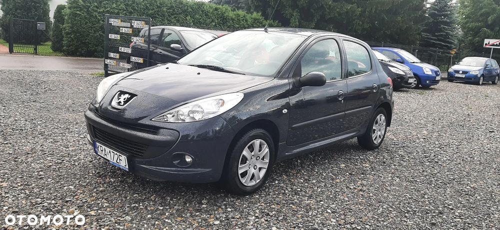 Peugeot 206 plus - 24