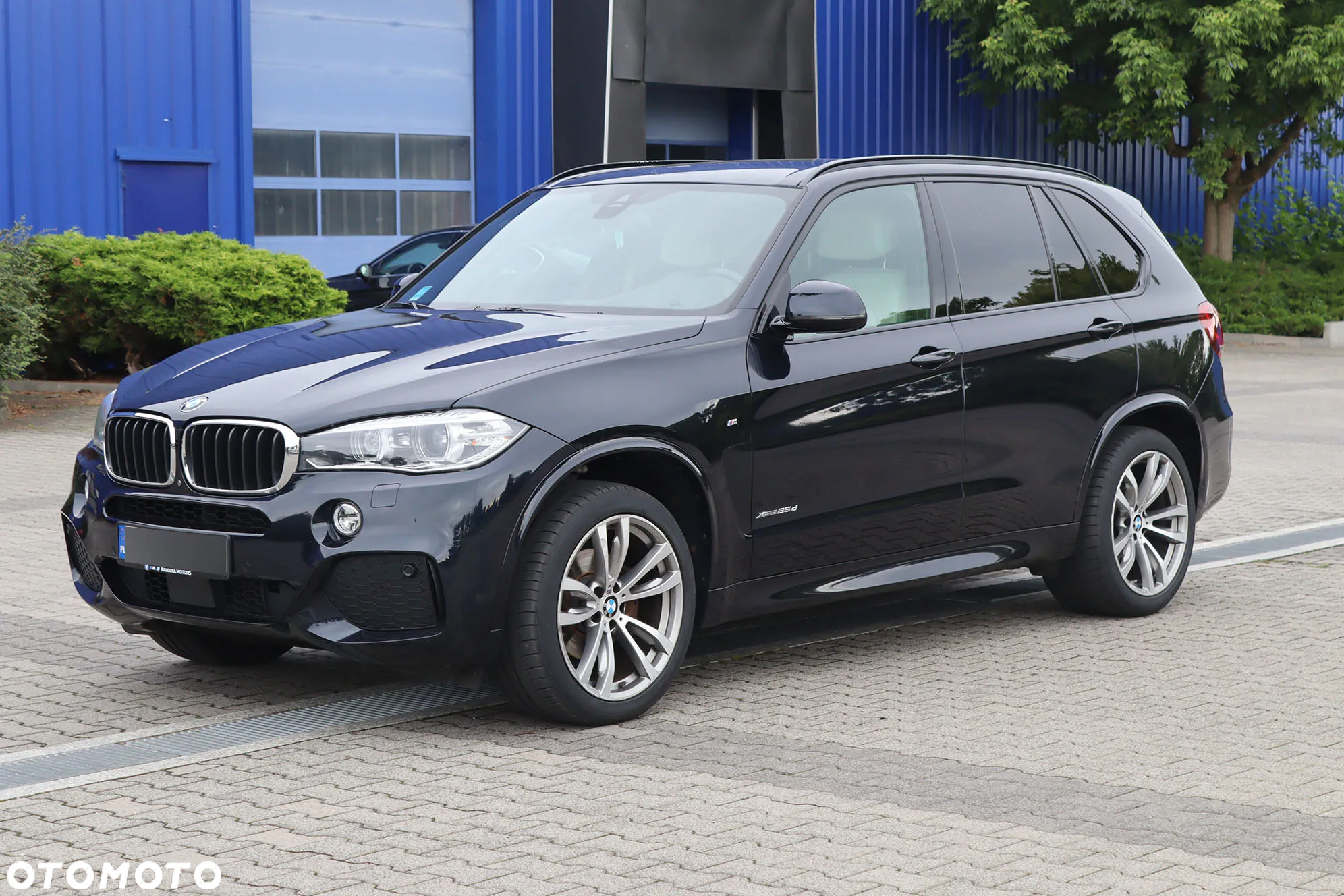 BMW X5 xDrive25d - 4
