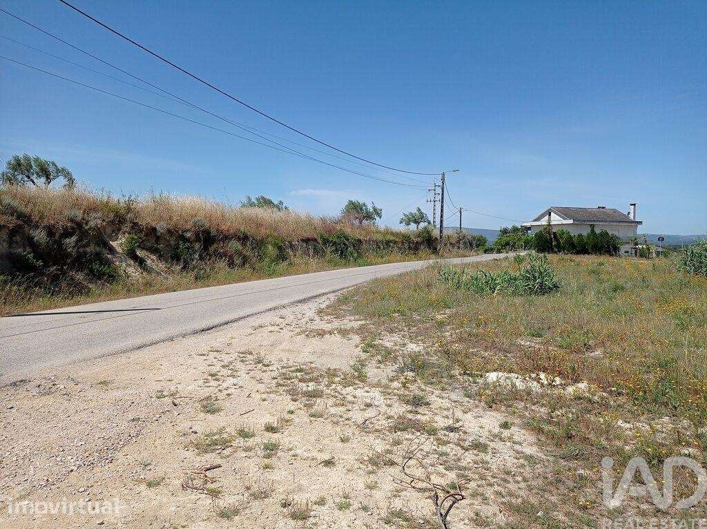 Terreno Agrícola em Madalena e Beselga - Grande imagem: 3/27