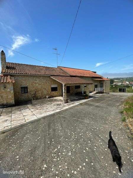 Moradia T4+ em zona de natureza e sossegada  com terreno - Grande imagem: 4/12