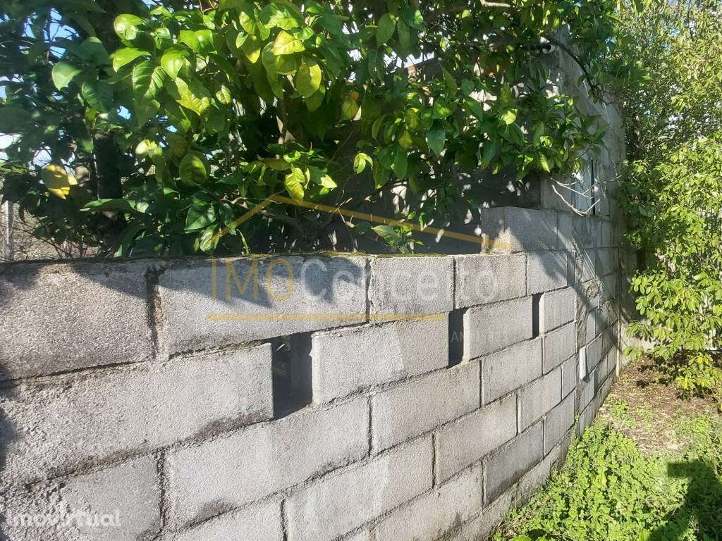 Terreno Rústico - Tomar | 960m2 de Natureza - Grande imagem: 3/18