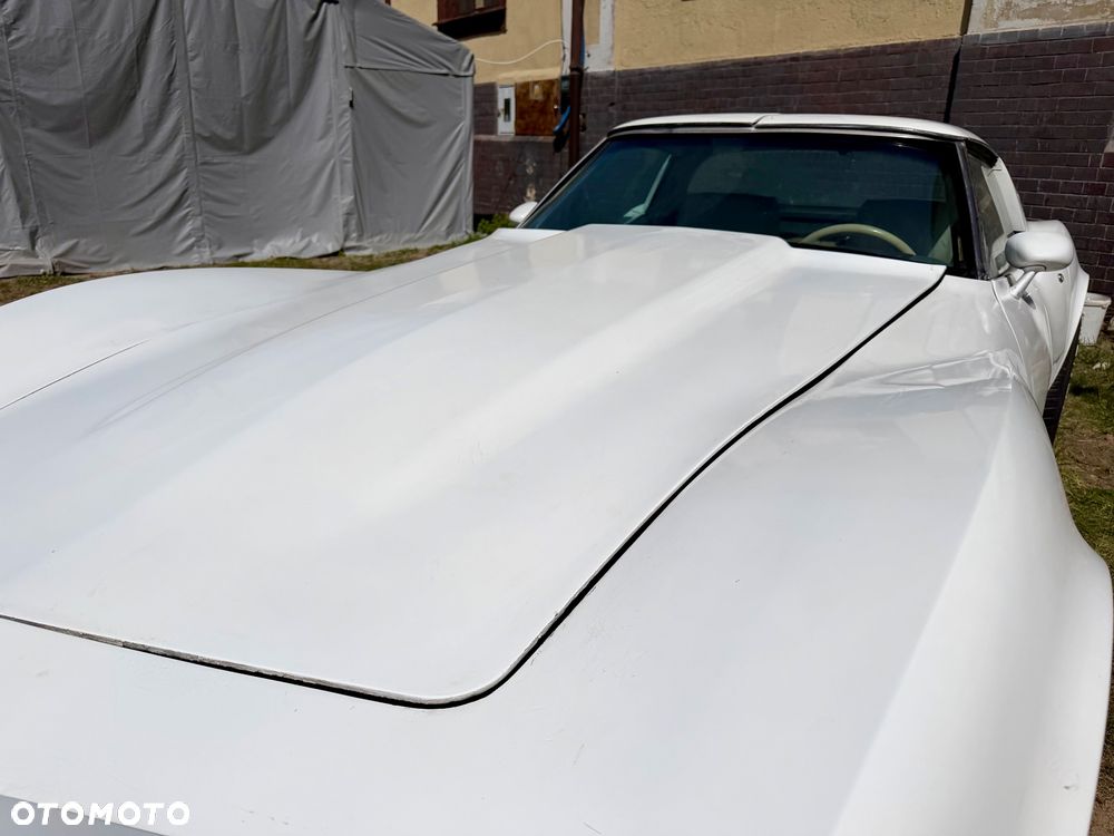 Chevrolet Corvette - 38