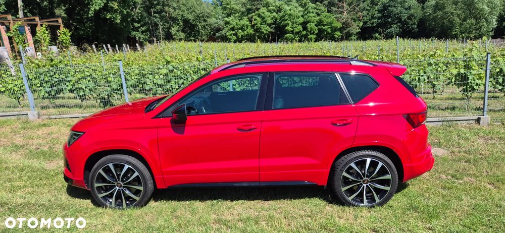 Cupra Ateca - 5