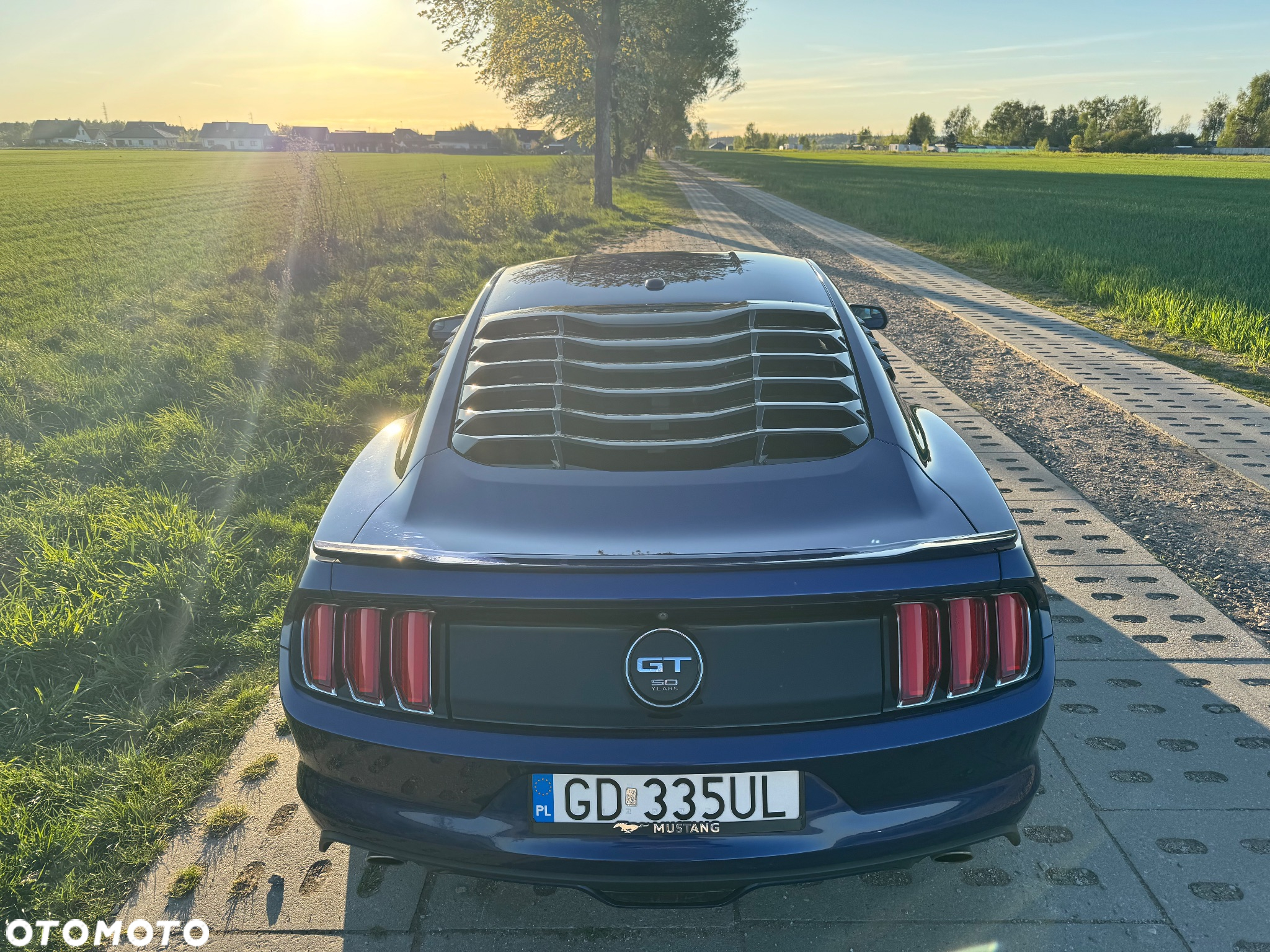 Ford Mustang 5.0 V8 GT - 29