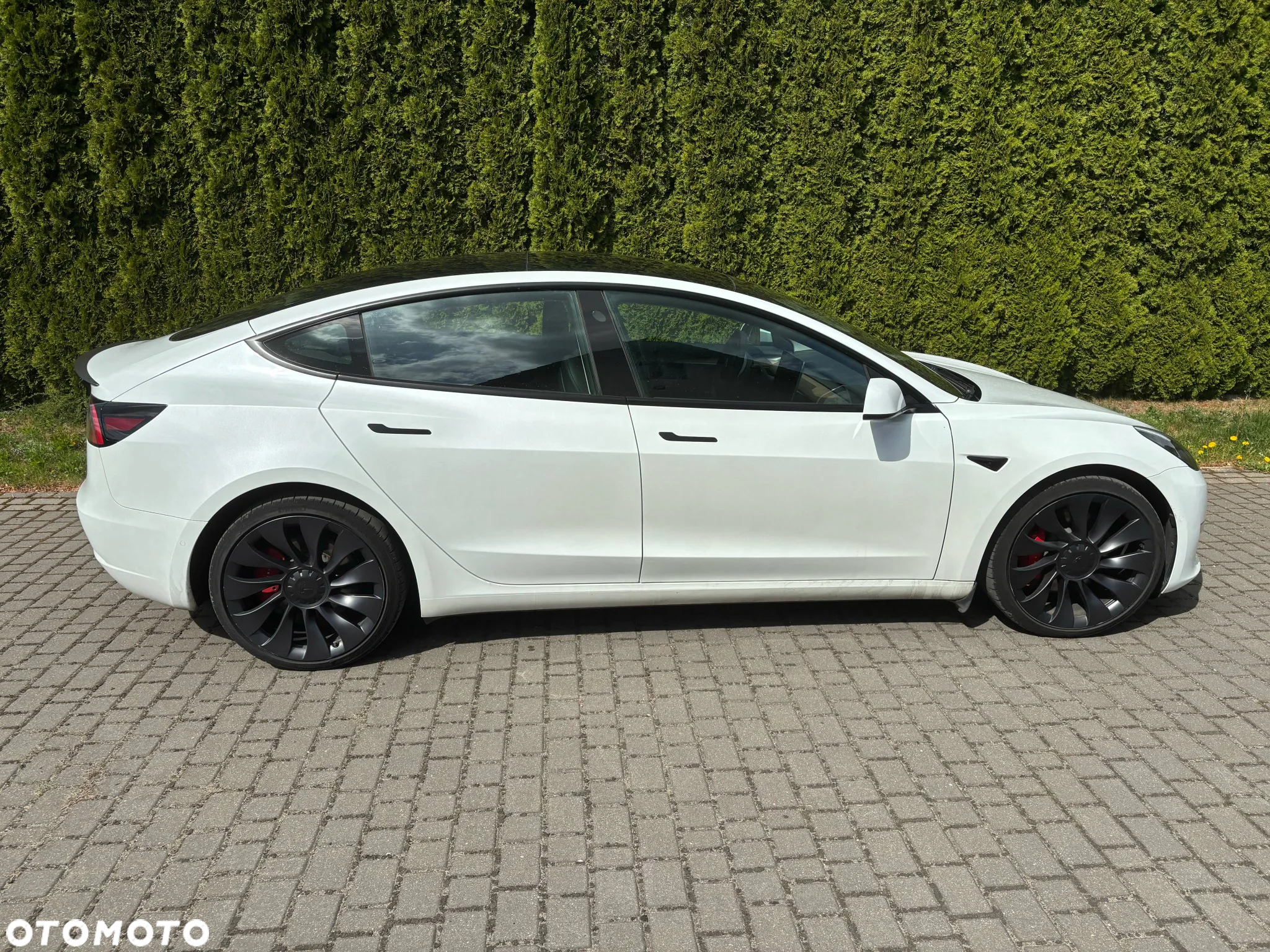 Tesla Model 3 Langstreckenbatterie Allradantrieb Dual Motor Performance - 14