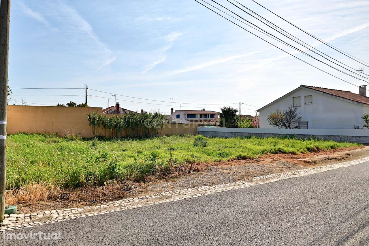 Terreno urbano em consolidação – oportunidade de valorização em Cabra - Grande imagem: 5/14