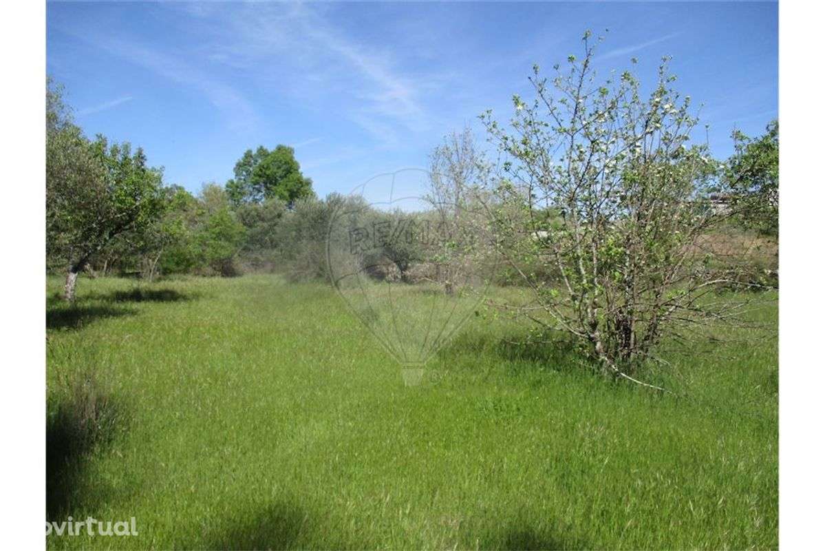 Quinta T0 para venda - Grande imagem: 2/9