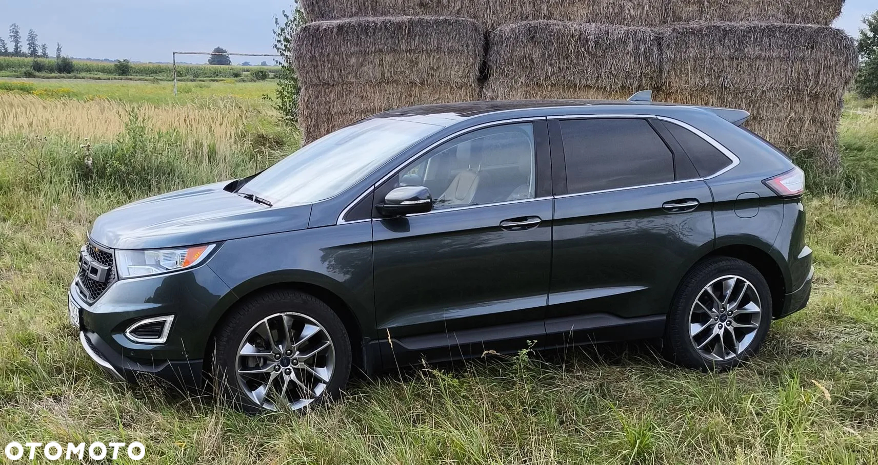 Ford Edge - 3