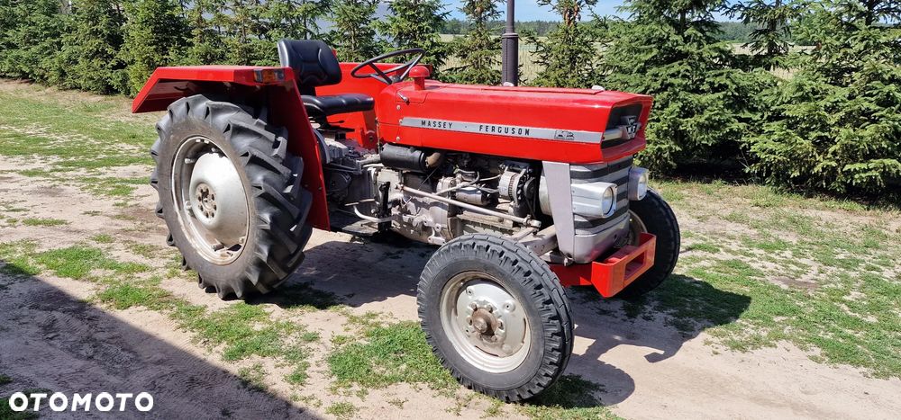 Massey Ferguson MF 133 - 1