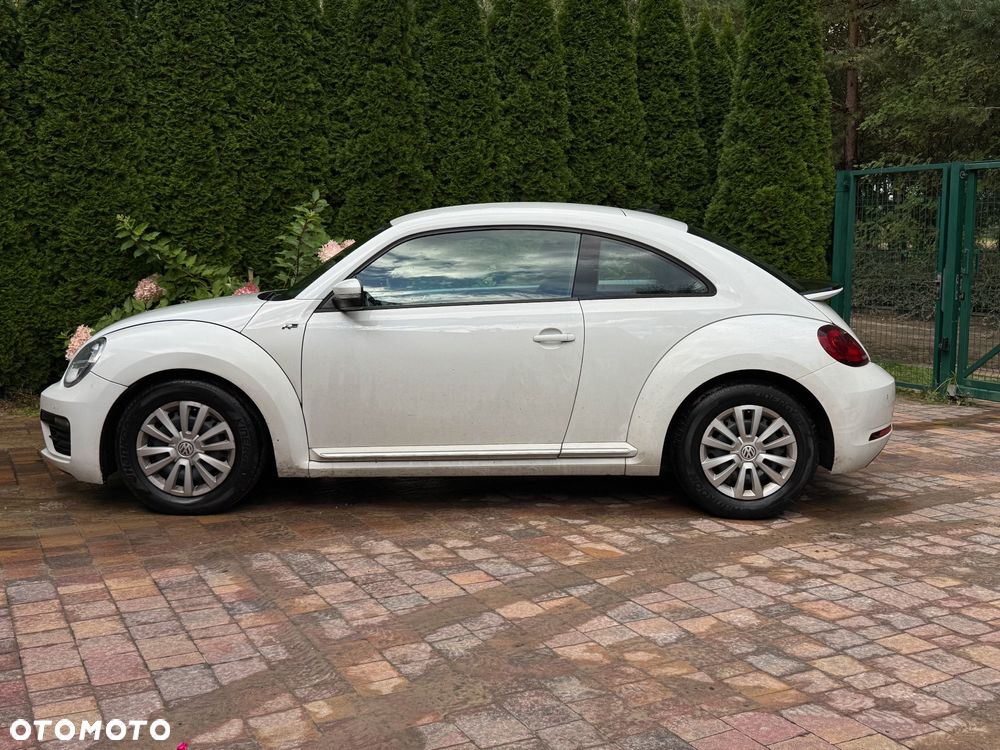 Volkswagen Beetle - 4