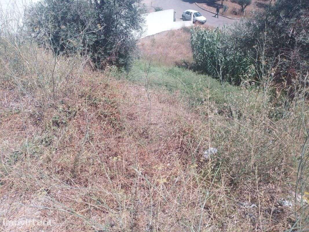 Terreno  para venda - Grande imagem: 4/8