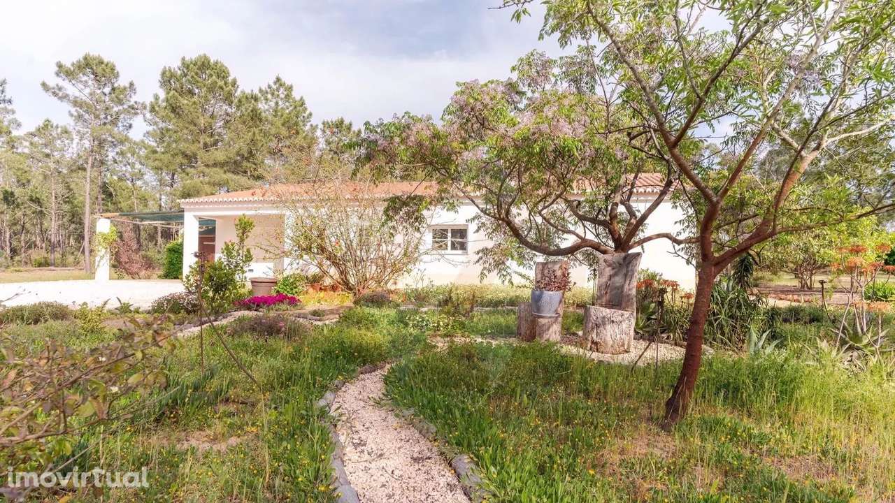 Quinta T3 com 1,8 ha a 15 min da Praia em Zona Tranquila - Grande imagem: 4/19