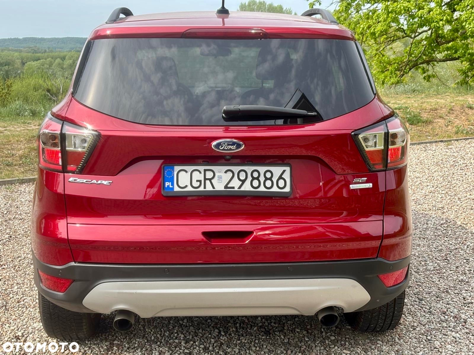 Ford Kuga 1.5 EcoBoost AWD Edition ASS - 5