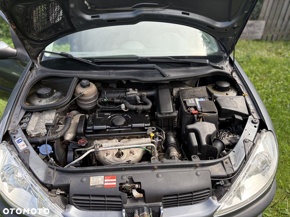 Peugeot 206 - 5