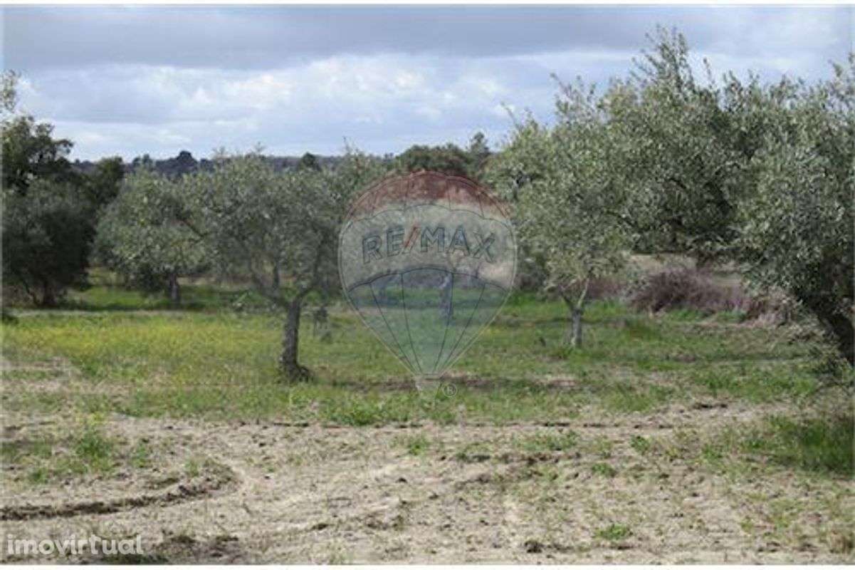 Quinta T0 para venda - Grande imagem: 2/28