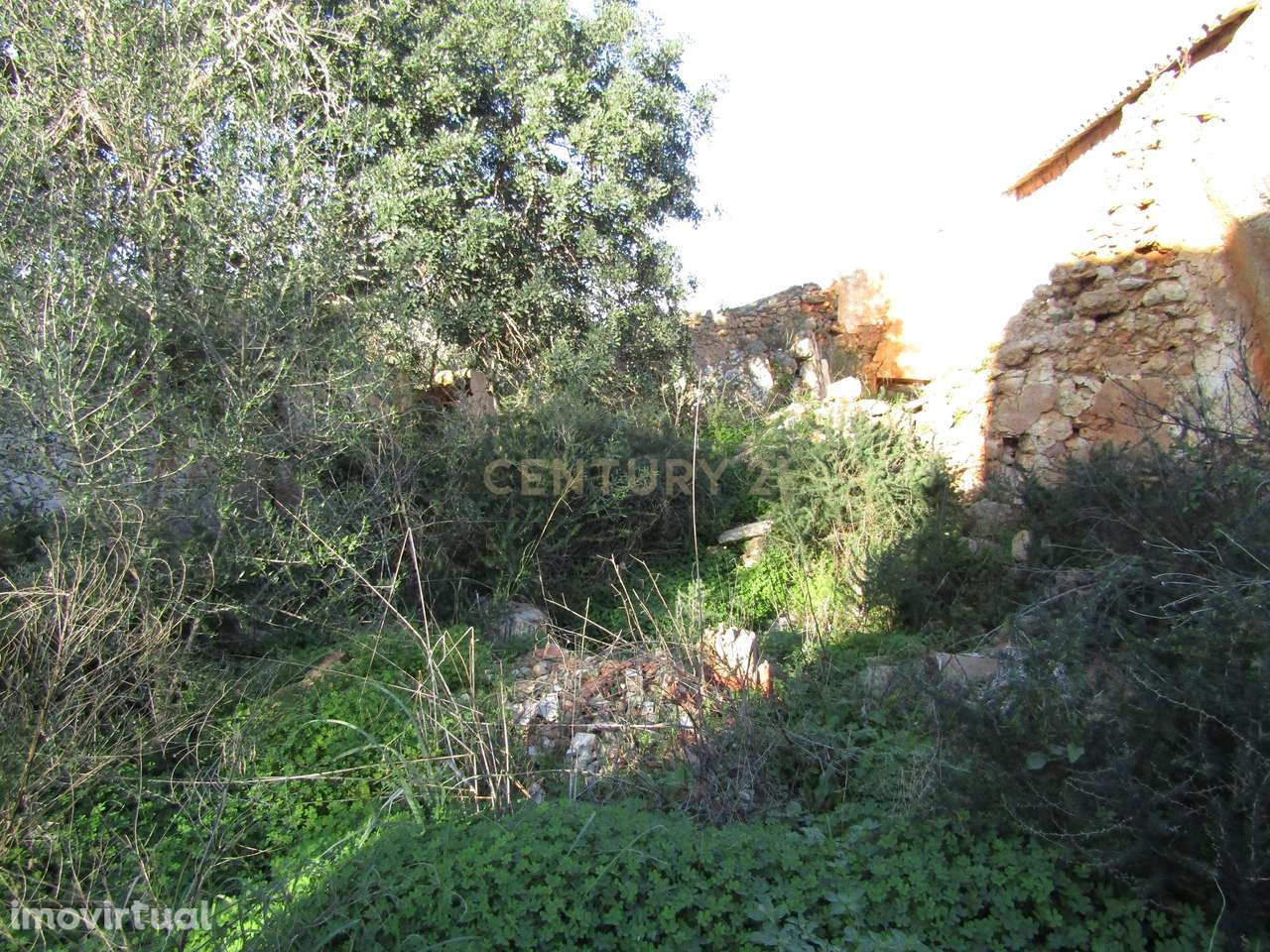 Moradia para reconstruir - Grande imagem: 3/6