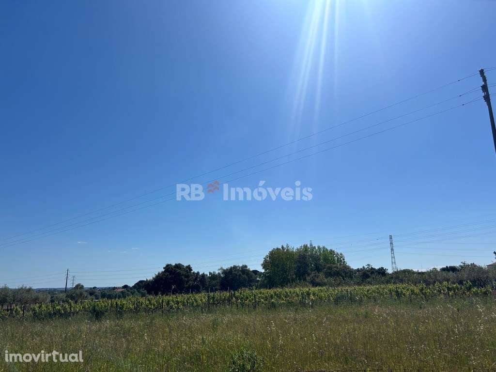 Terreno vedado com 8.240m² em malha Urbana - Tomar - Grande imagem: 4/12