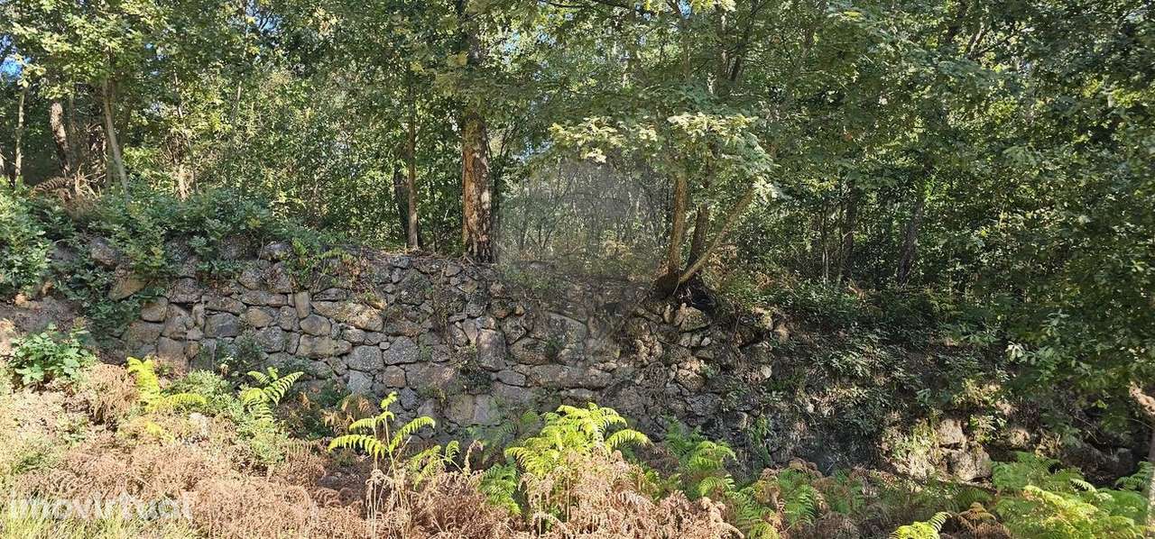 Terreno  para venda - Grande imagem: 3/13