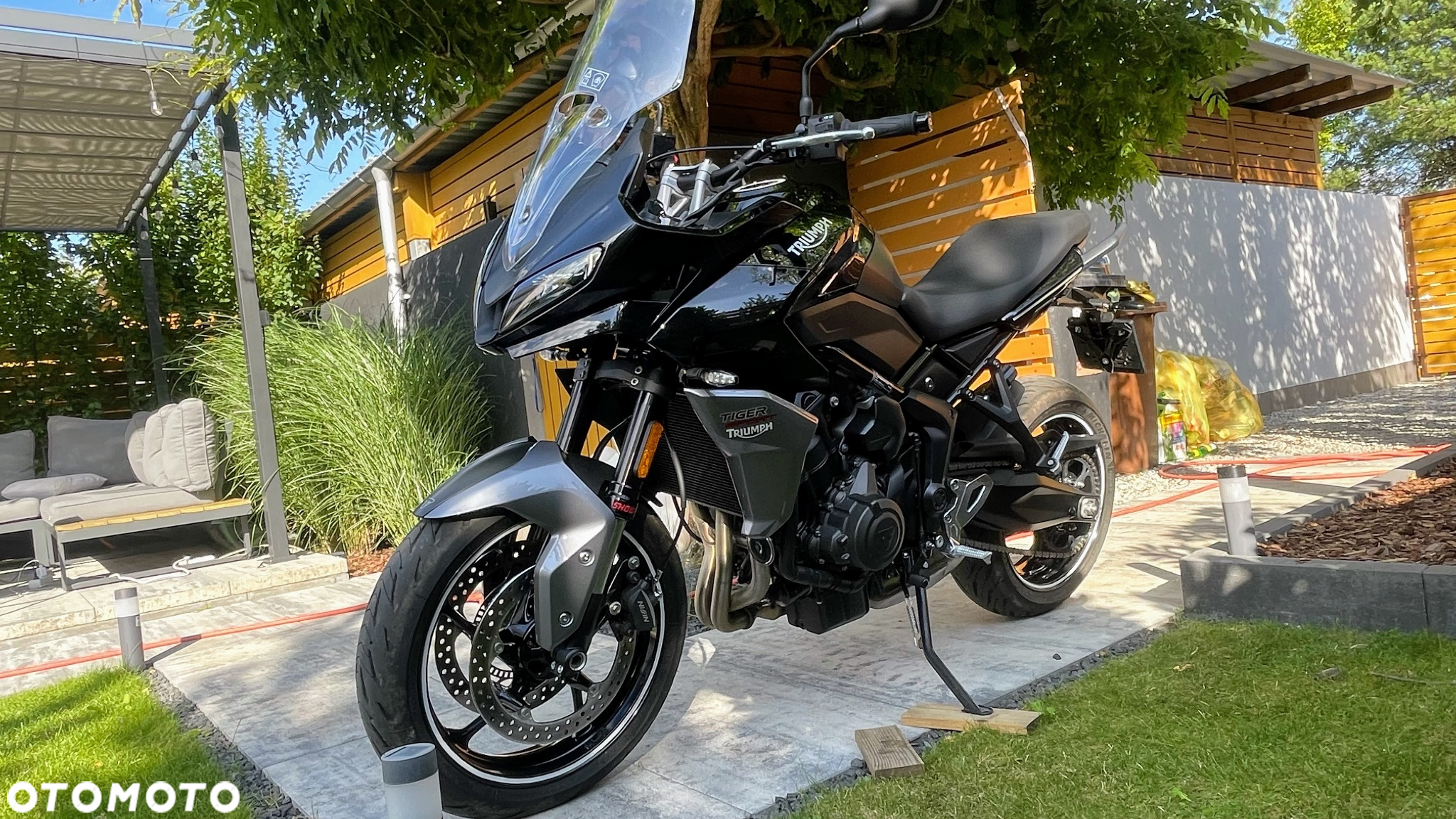 Triumph Tiger - 11