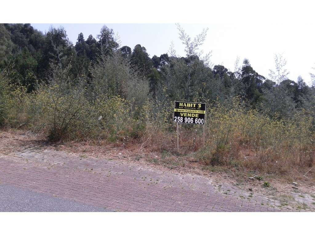 Lotes de terreno para construção - Grande imagem: 2/3