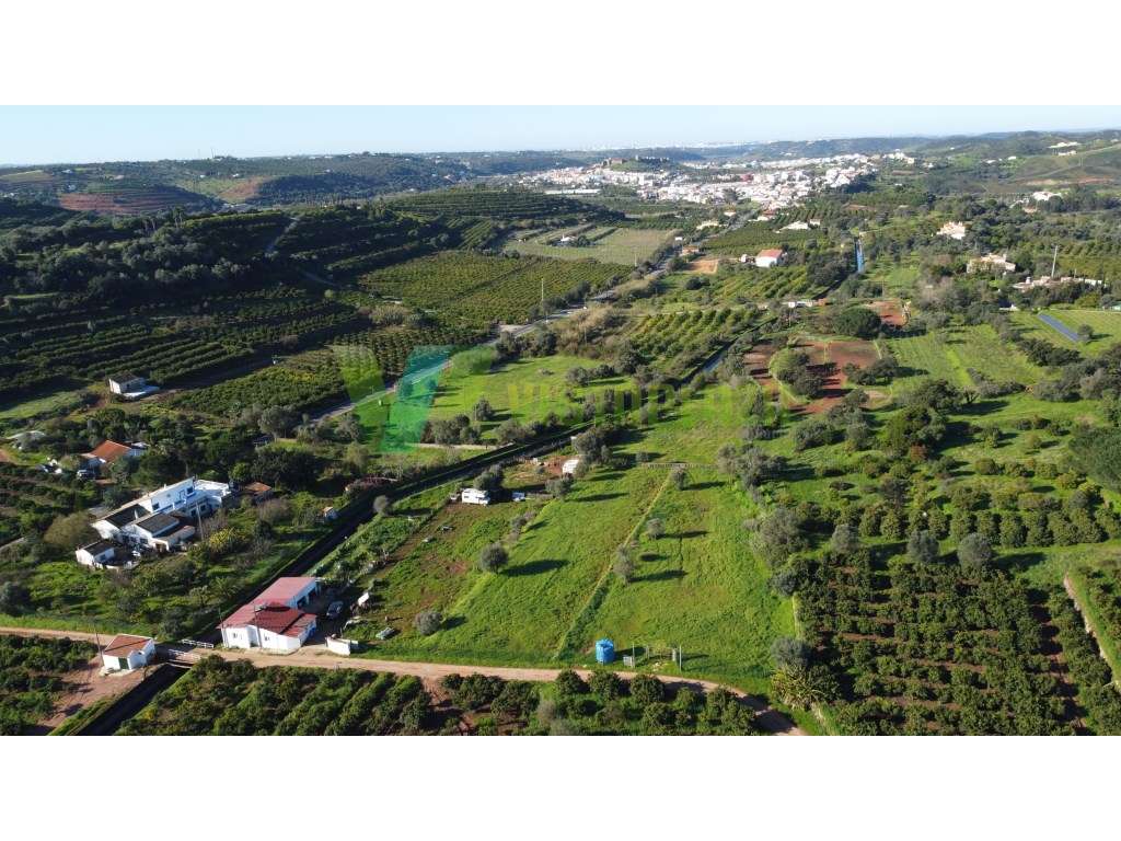 Terreno Rústico em Silves - Grande imagem: 5/24
