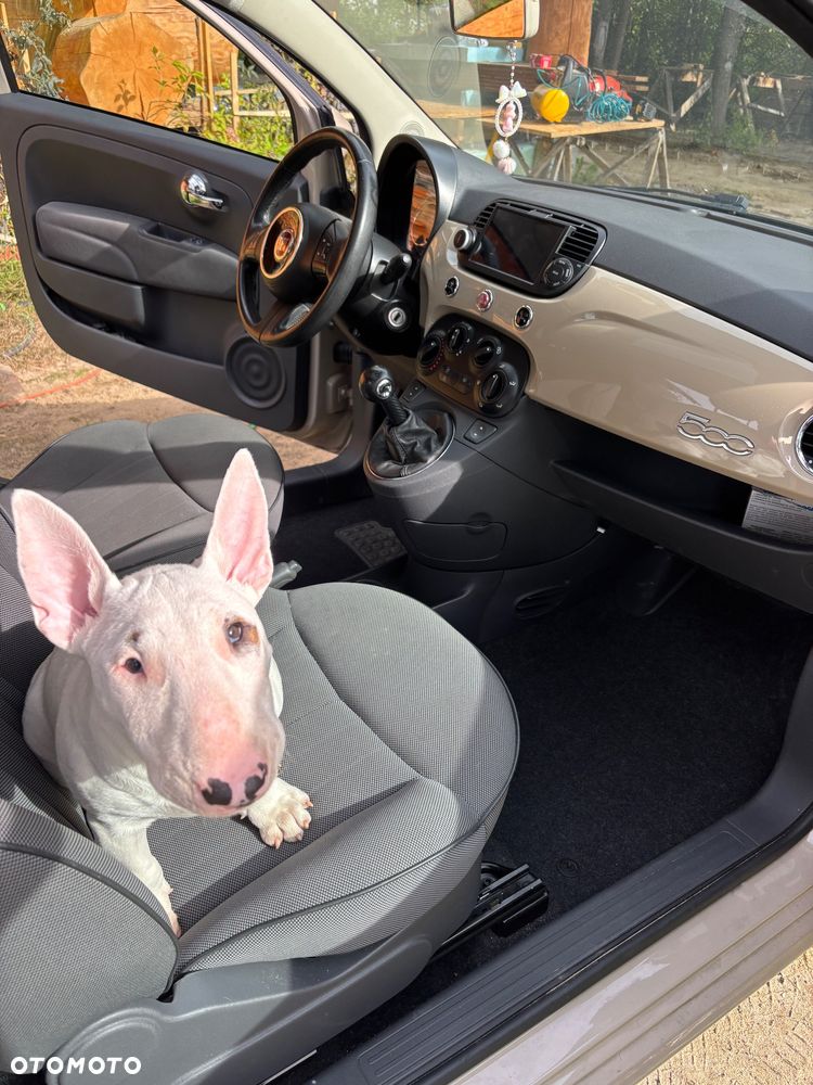 Fiat 500 1.3 Multijet S&S Lounge - 12