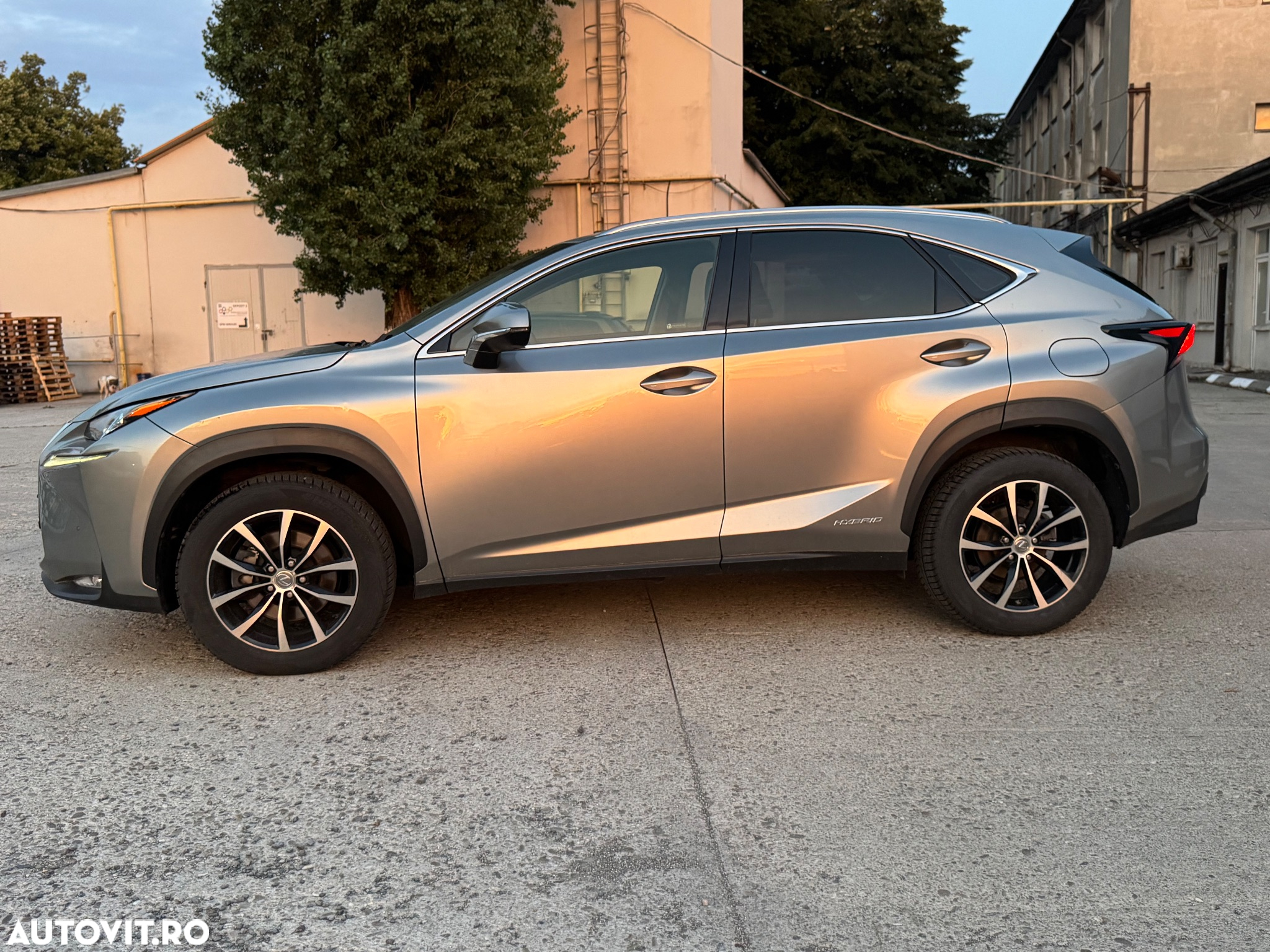 Lexus Seria NX 300h AWD Business - 2